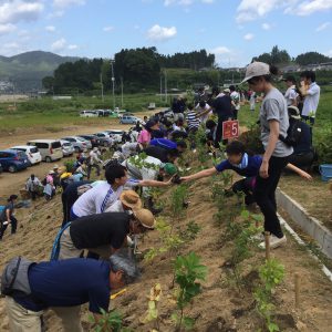岩手県山田町で植樹祭を開催しました！