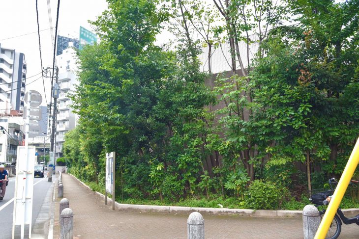 豊島清掃事務所／植樹から9年経過。いのちを守る樹林帯は1m幅あればつくれます。