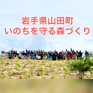 「いのちを守る森づくり、植樹祭in山田町2022」を開催しました！