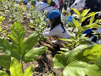 2022年9月29日_大阪『阪南市いのちを守る植樹祭』