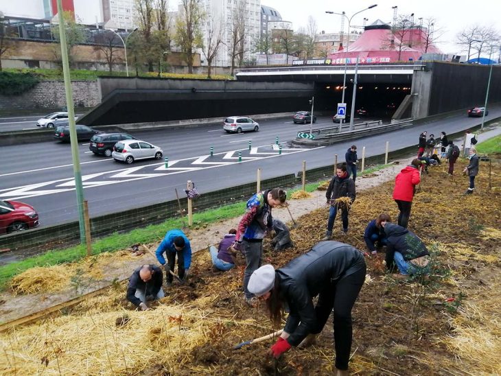 フランスパリでの宮脇の森づくり（2019年撮影）写真：Enrico Fusto & Tomasz Lamartine