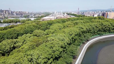 日本製鉄九州製鉄所大分地区『故郷の森』