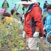 宮城県仙台市若林区荒浜植樹祭