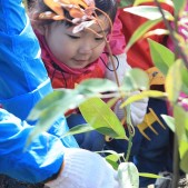 宮城県仙台市若林区荒浜植樹祭