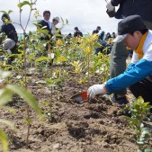 宮城県仙台市若林区荒浜植樹祭