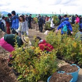 宮城県仙台市若林区荒浜植樹祭