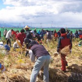 宮城県仙台市若林区荒浜植樹祭