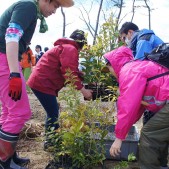 宮城県仙台市若林区荒浜植樹祭