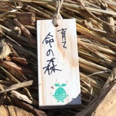 木札に込められた願い 宮城県仙台市若林区荒浜植樹祭