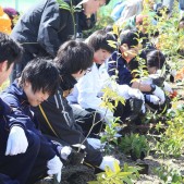 宮城県仙台市若林区荒浜植樹祭