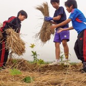 地元の子どもたちがたくさん参加しました