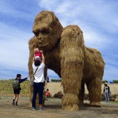 会場にはわらアートのゴリラが登場!すごい迫力でした