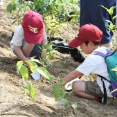 ちびっこたちも大奮闘!