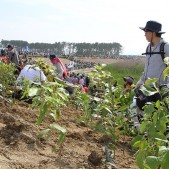 晴天に恵まれ、絶好の植樹日和でした