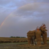 雨の後にすごいキレイな虹が現れた!©NPO法人わらアートJAPAN