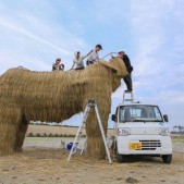 わらアート制作中©NPO法人わらアートJAPAN