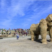 青空がきれい!©NPO法人わらアートJAPAN