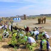 植樹風景©NPO法人わらアートJAPAN