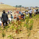 森の防潮堤に植樹する様子と避難丘 宮城県岩沼市千年希望の丘植樹祭2014