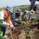 宮城県岩沼市千年希望の丘植樹祭2014
