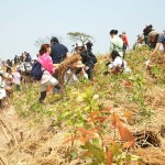 宮城県岩沼市千年希望の丘植樹祭2014