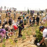 宮城県岩沼市千年希望の丘植樹祭2014