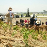 宮城県岩沼市千年希望の丘植樹祭2014