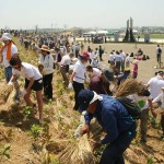 宮城県岩沼市千年希望の丘植樹祭2014