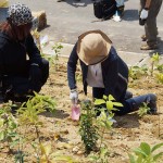 植樹祭ボランティア参加のSUGIZOさんと鈴木京香さん(顔が見えない。。) 宮城県岩沼市千年希望の丘植樹祭2014