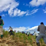 植樹光景2
秋晴れの空がきれいです