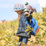 植樹地をかけまわる子供
かわいいです!
