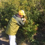 経過日数:3年5ヶ月 撮影日:2016年11月