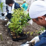 南相馬市鎮魂復興市民植樹祭2013