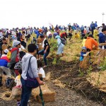 南相馬市鎮魂復興市民植樹祭2013