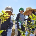 鈴木京香さんも植樹 宮城県岩沼市千年希望の丘植樹祭2015