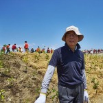 宮城県岩沼市千年希望の丘植樹祭2015