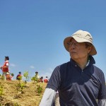 植樹地を見つめる細川護熙理事長(元首相) 宮城県岩沼市千年希望の丘植樹祭2015