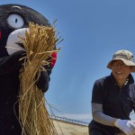 くまモンと細川護熙理事長(元首相)の出身は熊本です! 宮城県岩沼市千年希望の丘植樹祭2015