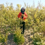 経過年数:2年7ヶ月 撮影日:2016年3月