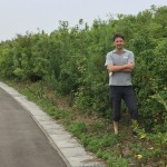 経過日数:3年2ヶ月 撮影日:2017年8月