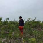 経過日数:2年2ヶ月 撮影日:2017年8月