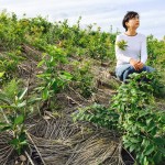 経過日数:11ヵ月 撮影日:2017年9月
