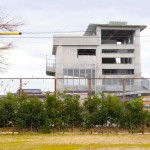 植樹から2年3ヶ月 撮影日:2019年1月27日