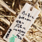 木札に込められた願い 宮城県岩沼市千年希望の丘植樹祭2013