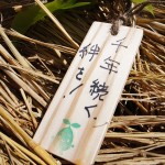 木札に込められた願い 宮城県岩沼市千年希望の丘植樹祭2013