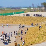 宮城県岩沼市千年希望の丘植樹祭2013