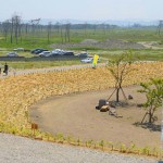 宮城県岩沼市千年希望の丘植樹祭2013