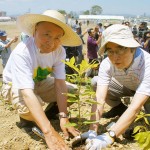 宮脇昭博士と細川護熙理事長(元総理) 宮城県岩沼市千年希望の丘植樹祭2013