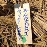 願いが込められた木札 宮城県岩沼市千年希望の丘植樹祭2013