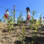 2022年9月29日_大阪『阪南市いのちを守る植樹祭』